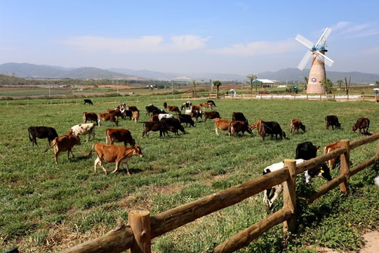 Những bước phát triển bền vững của công ty có giá trị thương hiệu lớn nhất Việt Nam