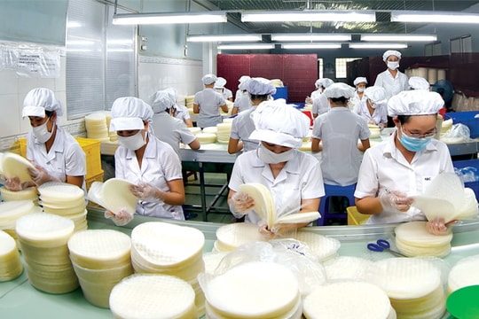 SMEs tiếp cận vốn vay ngân hàng: Khó chồng khó