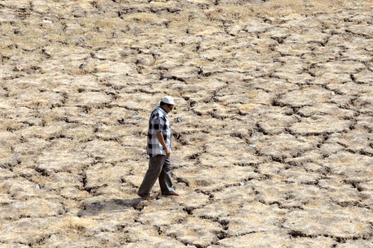 Thời tiết khắc nghiệt có thể giết 1,5 tỷ người