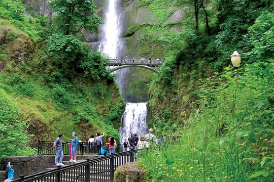 Thác nước Multnomah Falls lên màn ảnh lớn