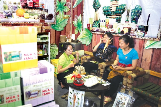 Thị trường mỹ phẩm thiên nhiên: "Nút thắt" nguyên liệu