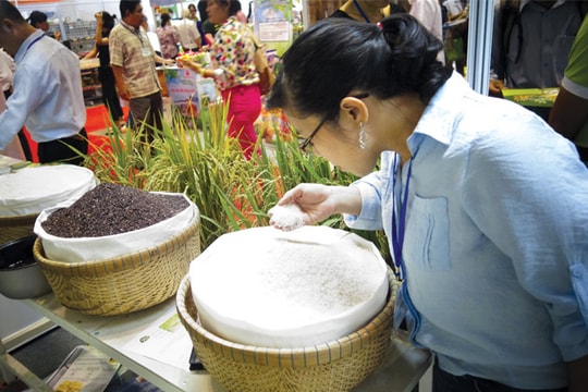 Chinh phục thị trường nội địa: Rào cản từ thói quen tiêu dùng