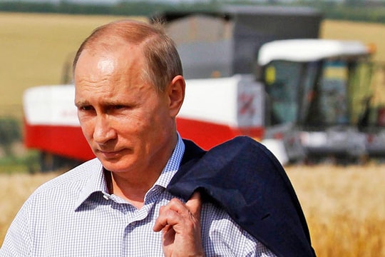 Lúa mì Nga thống trị châu Á?