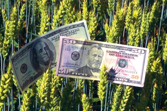 FED sẽ tiếp tục tăng lãi suất?