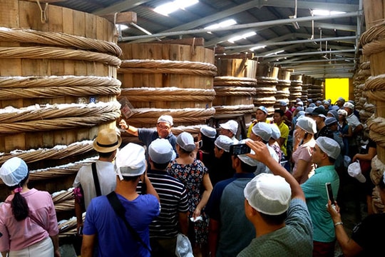 Trải nghiệm lần đầu tiên ghé thăm nhà thùng nước mắm Nam Ngư