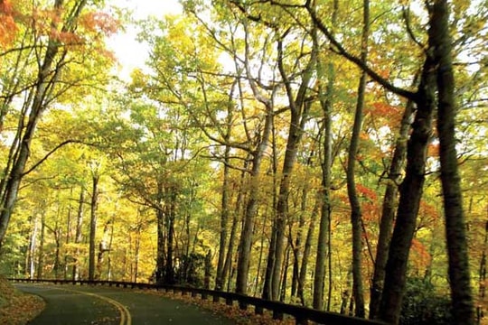 Cao nguyên Shenandoah ngày thu lộng lẫy