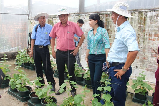 Giải pháp ứng dụng công nghệ cao trong sản xuất nông nghiệp đô thị