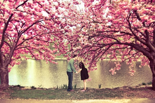 Giày NMD R1 Raw Pink - món quà ngọt ngào cho ngày 20/10