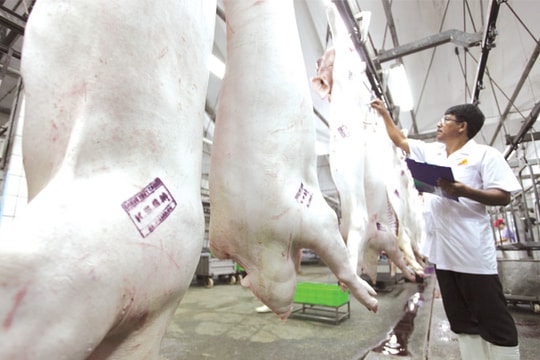Thị trường thịt gia súc, gia cầm: Tham vọng với "miếng bánh" 18 tỷ USD