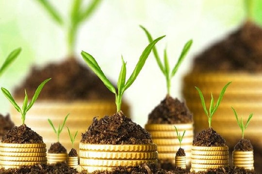 Nắm 7 quy tắc về tiền bạc này, bạn sẽ thành công hơn