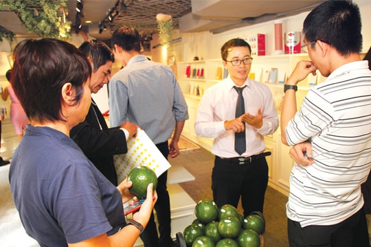 Khởi nghiệp F&B: Cẩn trọng từ những "viên gạch" đầu tiên