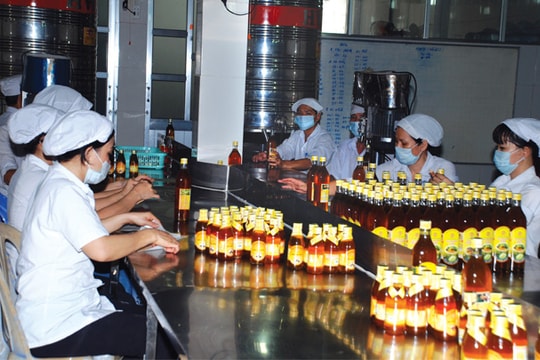 Lối nào cho mật ong Việt Nam vào EU?