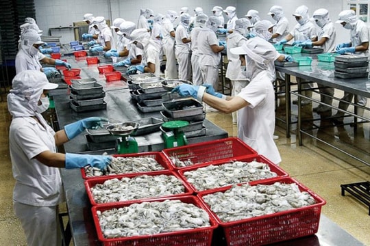 Xuất khẩu thủy sản: "Thẻ vàng" và những hệ lụy