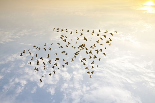 CEO thế hệ mới: tư duy như chủ công ty