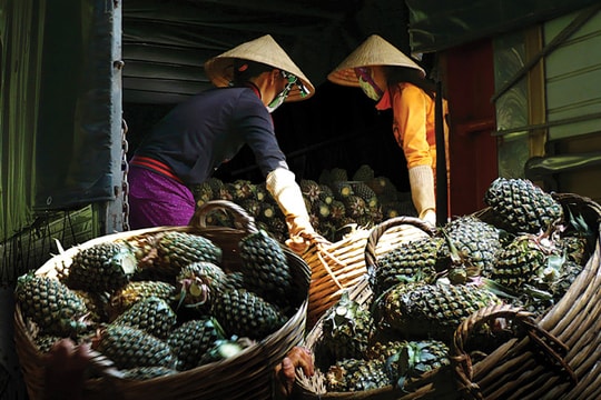 Tiểu vùng Đồng Tháp Mười: Liên kết để phát triển bền vững