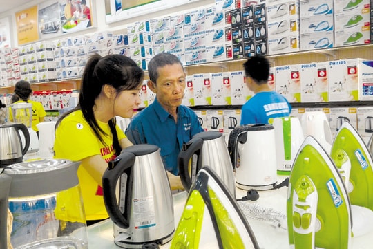 Xu hướng đầu tư đa ngành của các doanh nghiệp lớn