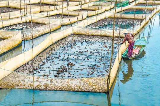 Chống biến đổi khí hậu ở cấp độ quốc tế