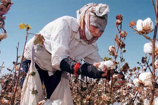 Uzbekistan - quốc gia có truyền thống khởi nghiệp nhiều thế kỷ