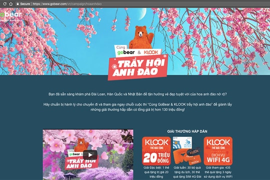 Trải nghiệm sản phẩm du lịch quốc tế nhân mùa hoa anh đào