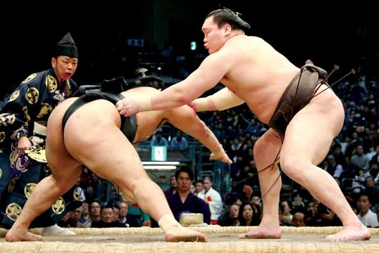 Chật vật "cứu" sumo