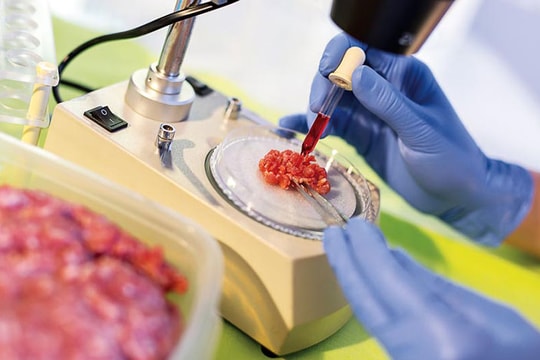 Thịt công nghệ cao - xu hướng thực phẩm tương lai?