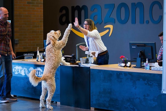 25 công ty Mỹ hấp dẫn nhất để làm việc trong năm 2018