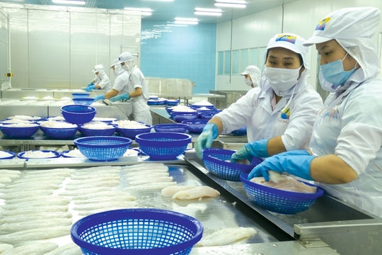 Rào cản thương mại: Nỗi lo và sự chủ động