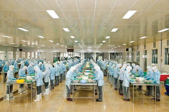 "Đại gia" thủy sản: Người lên kẻ xuống