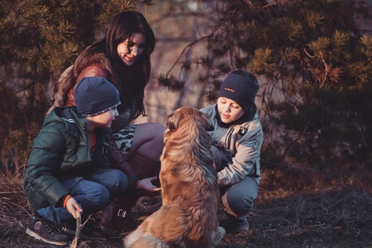 15 câu hỏi giúp rèn luyện tư duy cho con