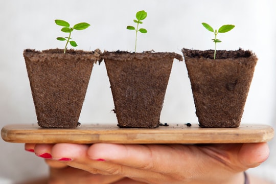 Chọn tư duy tăng trưởng là cách thay đổi bản thân để thành công