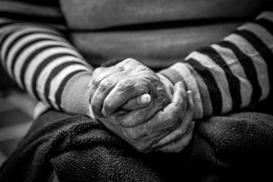 Tiếng hát giữa đời