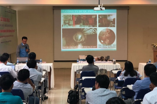 Hội thảo giới thiệu Công nghệ Ion hóa xử lý cáu cặn lò hơi không dùng hóa chất