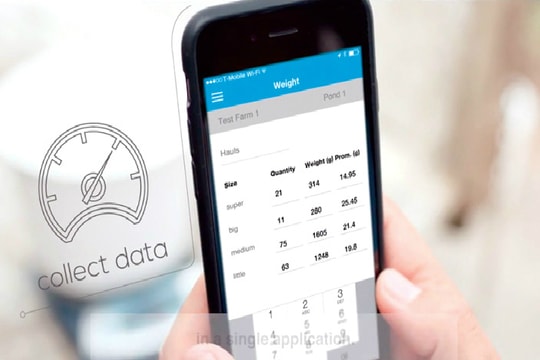 Giải pháp số cho nông dân nuôi tôm