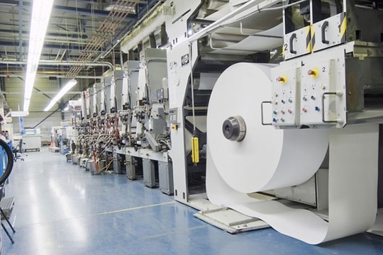 Triển vọng ngành giấy Việt Nam