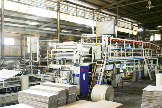 Doanh nghiệp ngành giấy Việt Nam: Chật vật cạnh tranh với doanh nghiệp ngoại