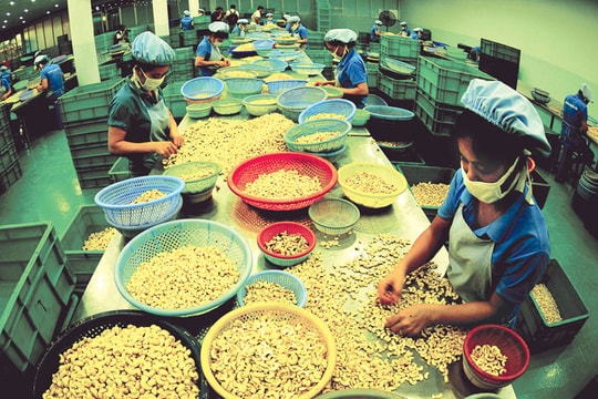 Việt Nam - Argentina: Làm sao cân bằng cán cân thương mại?