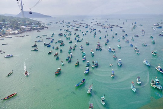 Cần cơ chế đủ mạnh cho đặc khu kinh tế