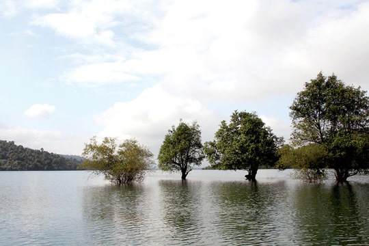 Hồ nước của tuổi thơ
