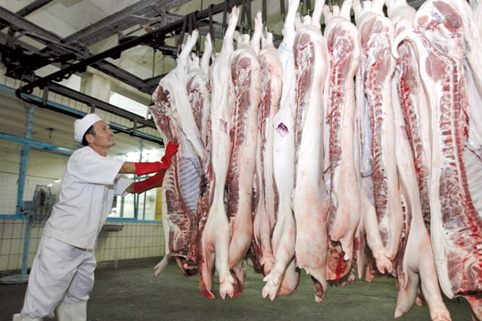 Doanh nghiệp Việt và tham vọng mang thịt heo ra thế giới