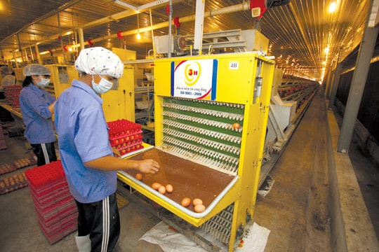 Mối quan hệ quỹ đầu tư và doanh nghiệp: Khi "hôn nhân" rạn nứt