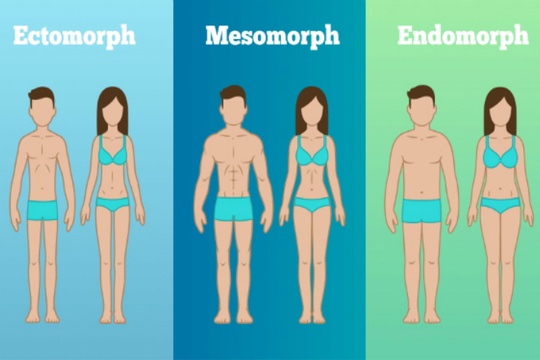 Cách nhận biết bạn thuộc tạng người nào