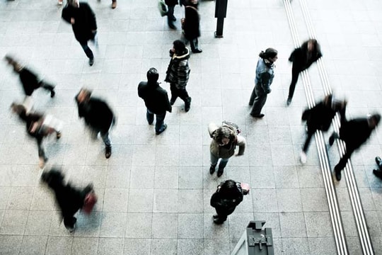 Chọn nghề và chọn bằng