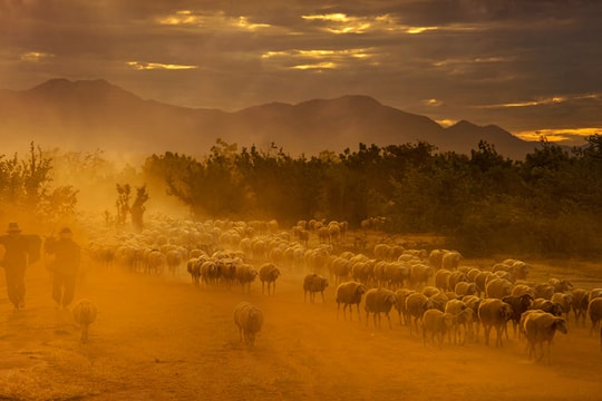 Hội nghị Xúc tiến Quảng bá Du lịch Ninh Thuận năm 2018