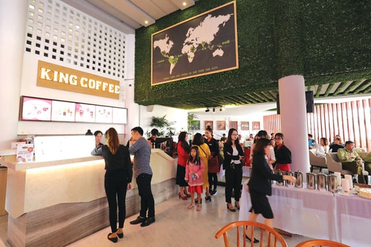 Thị trường cà phê: Nhiều thương hiệu gia nhập thị trường