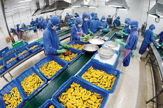 Ngày 26/9, công bố ảnh vào chung khảo cuộc thi ảnh Tự hào hàng Việt 2018