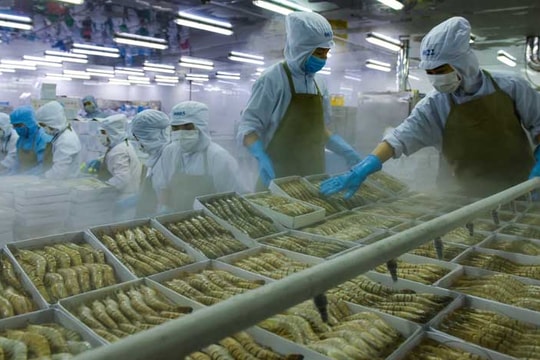 Bộ ảnh chung khảo cuộc thi ảnh "Tự hào hàng Việt" 2018