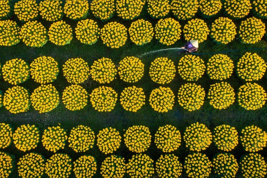 11 tác phẩm đoạt giải Cuộc thi ảnh Tự hào Hàng Việt năm 2018