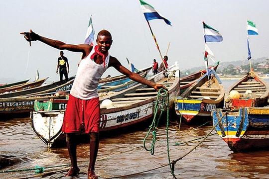 Kinh tế xanh - giải pháp giảm nghèo đói cho châu Phi