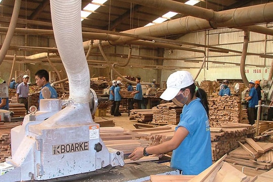Ngành gỗ Việt Nam chưa tận dụng được FTA với Nhật Bản và Hàn Quốc