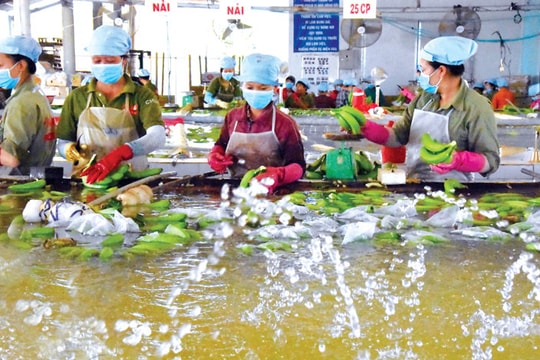 Thị trường Trung Quốc ngày một "khó tính"